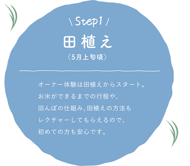 Step1：田植え（5月上旬頃）