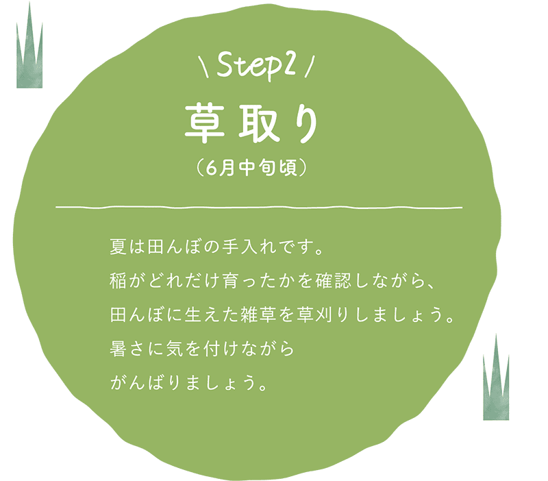 Step2：草取り（6月中旬頃）