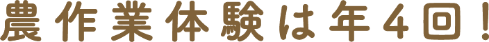 農業体験は年4回